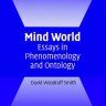 心智世界：现象学与本体论论文集
